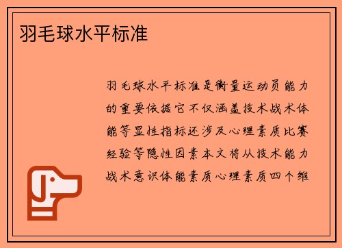 羽毛球水平标准